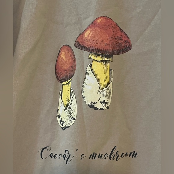 Mens Size XL Mushroom Tshirt Premium Heavy Cotton Boxy Fit Print Tee - Picture 4 of 10
